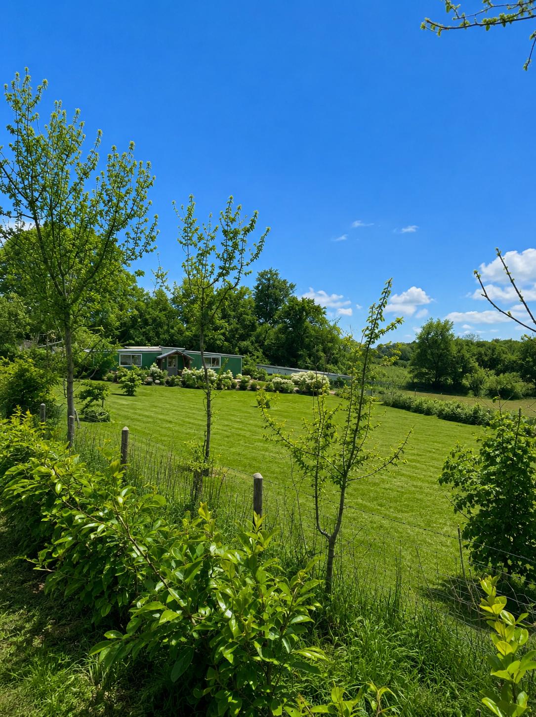 The green grounds and kennel buildings at Pentyrch Boarding Kennels